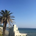 11214321_675709825867243_3262323152165324437_n