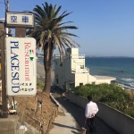 11268367_675709815867244_4100802740157369137_n